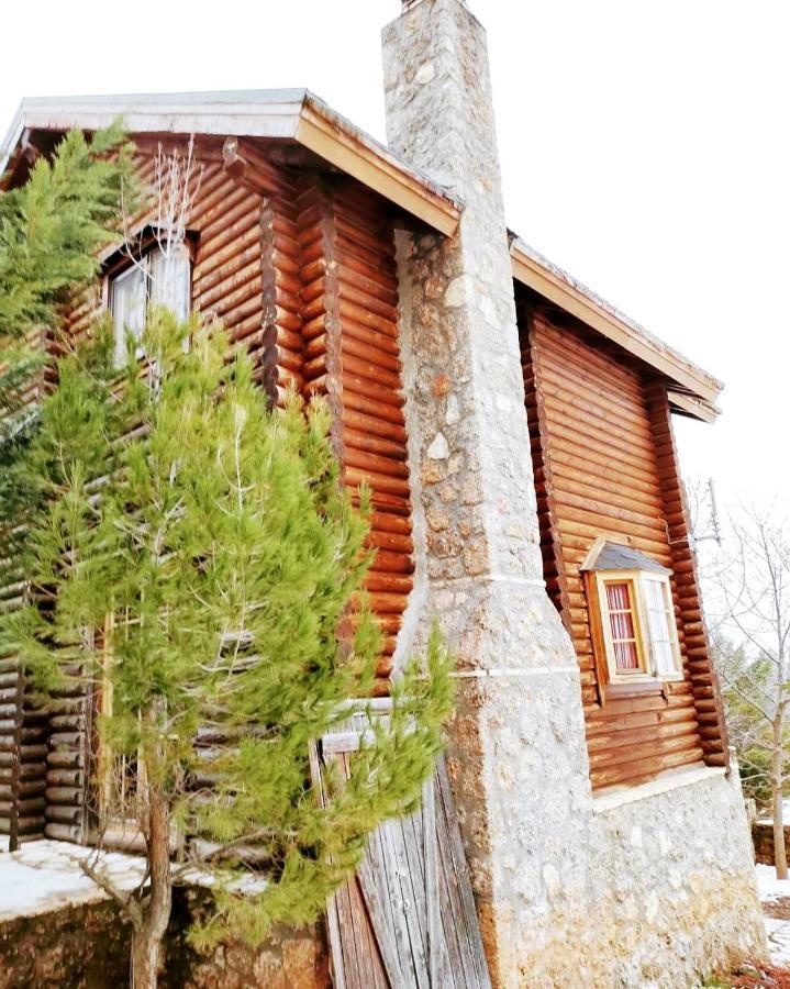 Paradise Chalet 아노 트리칼라 외부 사진