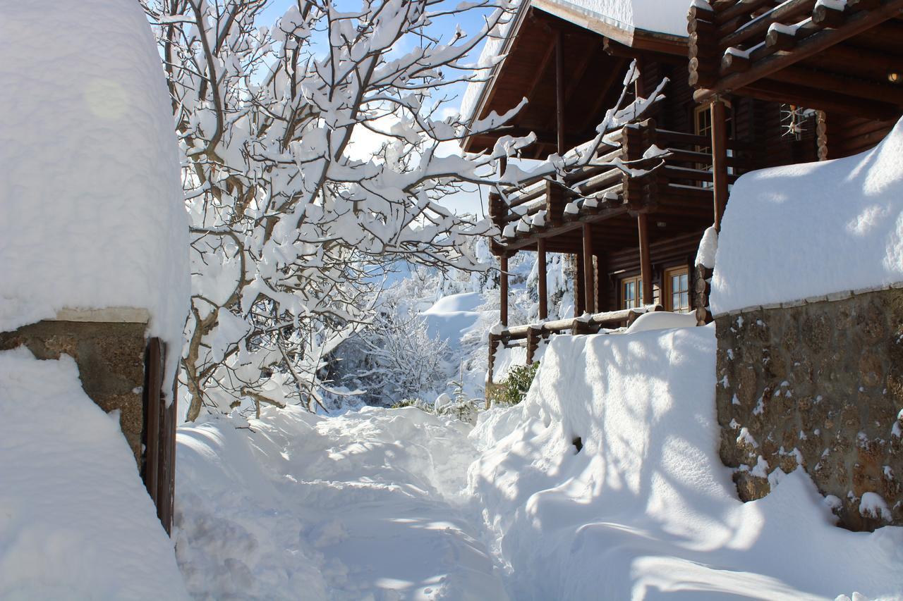 Paradise Chalet 아노 트리칼라 외부 사진